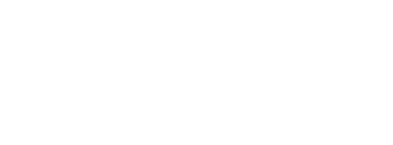 LESEBA CONCEPT